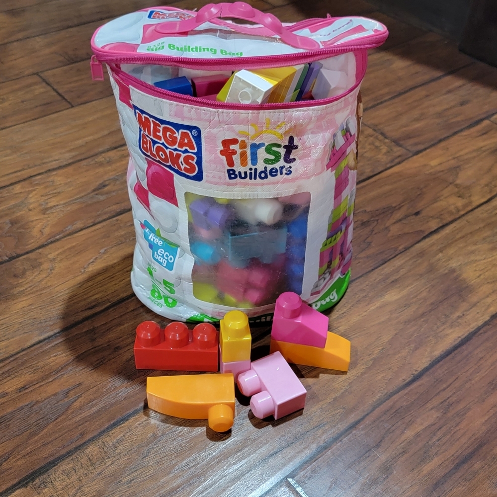 Mega Blocks bag